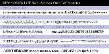 New Yorker Type Pro by Wiescher-Design — Decorative Font — thumbnail 8