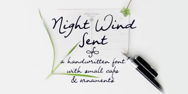 Night Wind Sent by Ana's Fonts — Dingbats Font — thumbnail 1