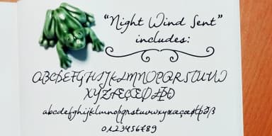 Night Wind Sent by Ana's Fonts — Dingbats Font — thumbnail 2