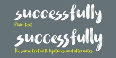 Nikotinus by Bogstav — Script Handwritten Font — thumbnail 4