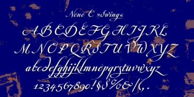 Nono by Wiescher-Design — Dingbats Font — thumbnail 3