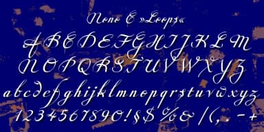 Nono by Wiescher-Design — Dingbats Font — thumbnail 4