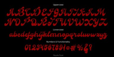 Noola by TypeClassHeroes — Script Handwritten Font — thumbnail 5