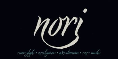 Nori by Positype — Script Handwritten Font — thumbnail 1