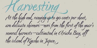 Nori by Positype — Script Handwritten Font — thumbnail 4