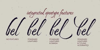 Nori by Positype — Script Handwritten Font — thumbnail 6