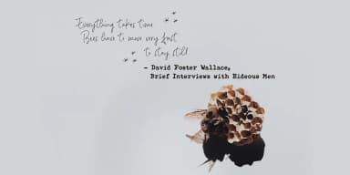 Notes And Quotes Font Duo by Ana's Fonts — Dingbats Font — thumbnail 5