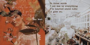 Notes And Quotes Font Duo by Ana's Fonts — Dingbats Font — thumbnail 6