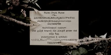 Notes From Home by Ana's Fonts — Dingbats Font — thumbnail 2