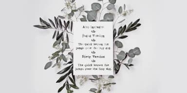 Notes From Home by Ana's Fonts — Dingbats Font — thumbnail 3