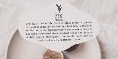 Notes From Home by Ana's Fonts — Dingbats Font — thumbnail 9