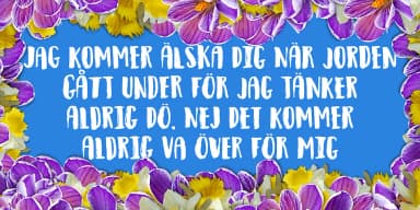 OBSERVANT by Pizzadude.dk — Display Font — thumbnail 2