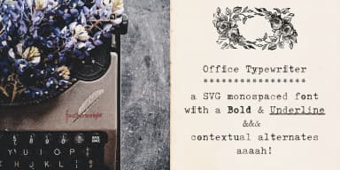 Office Typewriter by Ana's Fonts — Dingbats Font — thumbnail 1