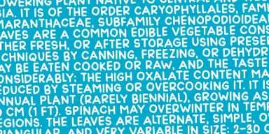 ONION MILL by Pizzadude.dk — Decorative Font — thumbnail 6