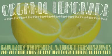 ORGANIQUE by Pizzadude.dk — Decorative Font — thumbnail 3