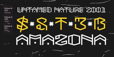 PAIHUEN BETA by Rodrigo Typo — Decorative Font — thumbnail 3