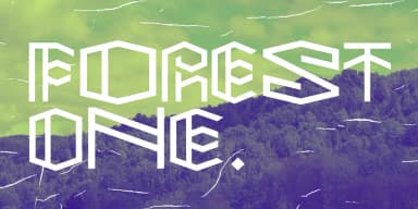 PAIHUEN BETA by Rodrigo Typo — Decorative Font — thumbnail 4