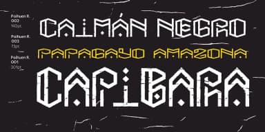 PAIHUEN ROUGH by Rodrigo Typo — Decorative Font — thumbnail 3