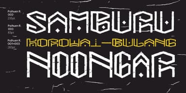 PAIHUEN ROUGH by Rodrigo Typo — Decorative Font — thumbnail 5