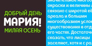 Pequena Neo by Rodrigo Typo — Dingbats Font — thumbnail 10