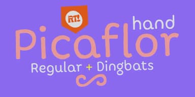 Picaflor Hand by Rodrigo Typo — Dingbats Font — thumbnail 2