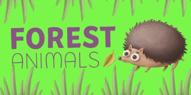 Picaflor Handmade by Rodrigo Typo — Dingbats Font — thumbnail 7