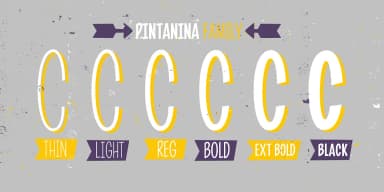 PINTANINA FAMILY by Rodrigo Typo — Decorative Font — thumbnail 4