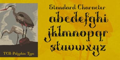 Polyphia by TypeClassHeroes — Decorative Font — thumbnail 5