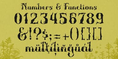 Polyphia by TypeClassHeroes — Decorative Font — thumbnail 7