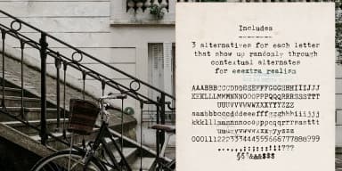 Populaire Typewriter by Ana's Fonts — Dingbats Font — thumbnail 4