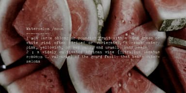 Populaire Typewriter by Ana's Fonts — Dingbats Font — thumbnail 6