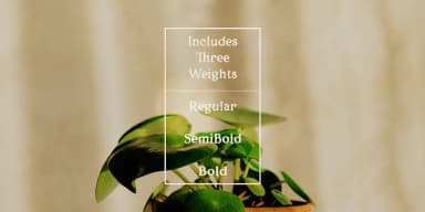 Porchlight by Ana's Fonts — Dingbats Font — thumbnail 4