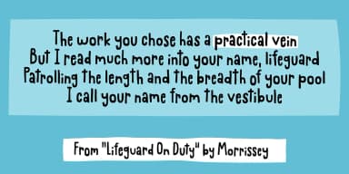 Practical Vein by Bogstav — Decorative Font — thumbnail 2