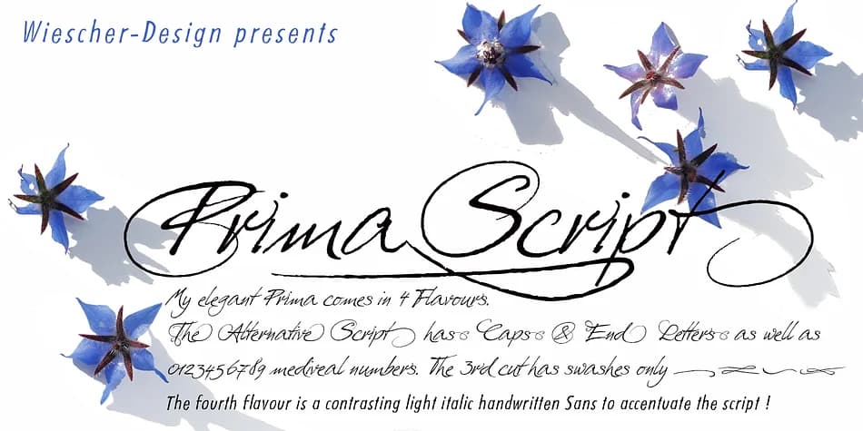 Prima Script by Wiescher-Design — Dingbats Font