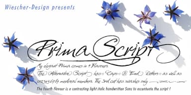 Prima Script by Wiescher-Design — Dingbats Font — thumbnail 1