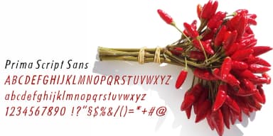 Prima Script by Wiescher-Design — Dingbats Font — thumbnail 10