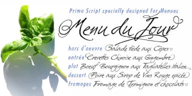 Prima Script by Wiescher-Design — Dingbats Font — thumbnail 2