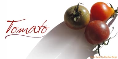 Prima Script by Wiescher-Design — Dingbats Font — thumbnail 6