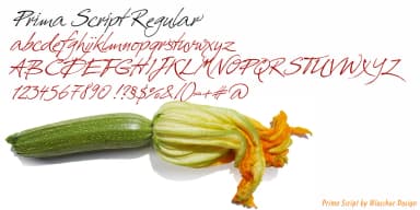 Prima Script by Wiescher-Design — Dingbats Font — thumbnail 7