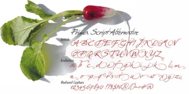 Prima Script by Wiescher-Design — Dingbats Font — thumbnail 8