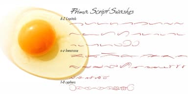 Prima Script by Wiescher-Design — Dingbats Font — thumbnail 9