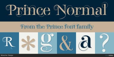 Prince by Wiescher-Design — Display Font — thumbnail 1