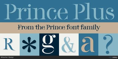 Prince by Wiescher-Design — Display Font — thumbnail 2