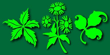 Printers Plant Ornaments by Gerald Gallo Fonts — Dingbats Font — thumbnail 1