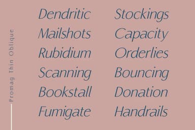 PROMAG by xdCreative — Decorative Font — thumbnail 7