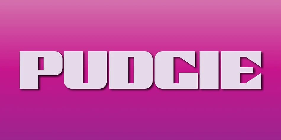 PUDGIE by Gerald Gallo Fonts — Decorative Font — preview 1
