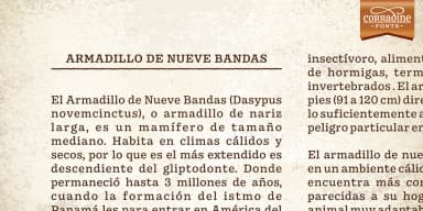 Pueblito by Corradine Fonts — Dingbats Font — thumbnail 3