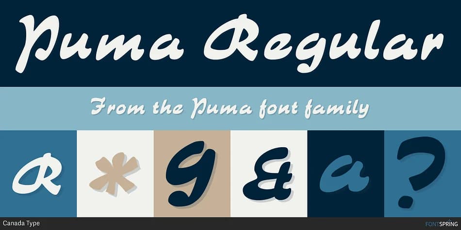 Puma by Canada Type — Script Handwritten Font