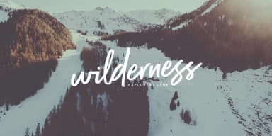 Radiant Beauty by Ian Barnard — Dingbats Font — thumbnail 4