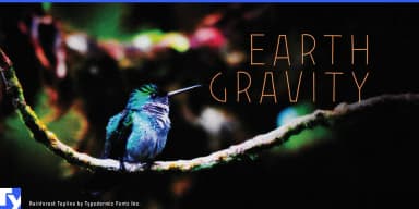 Rainforest by Typodermic Fonts Inc. — Decorative Font — thumbnail 7